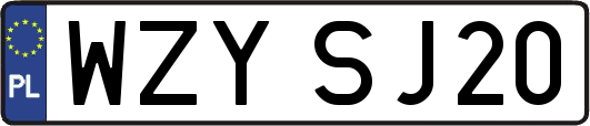 WZYSJ20