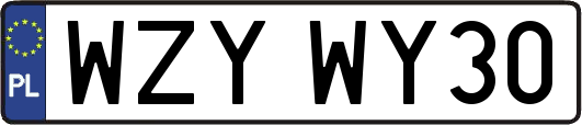 WZYWY30