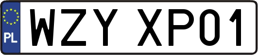 WZYXP01