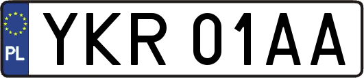 YKR01AA