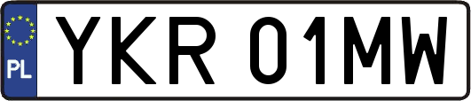 YKR01MW