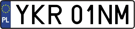 YKR01NM