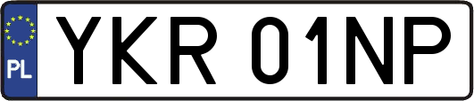 YKR01NP