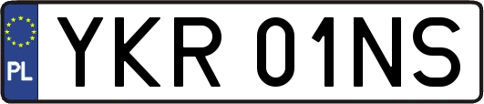 YKR01NS