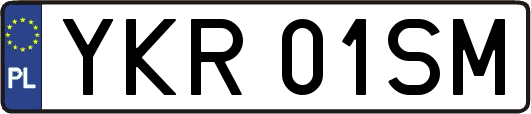 YKR01SM