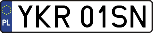 YKR01SN