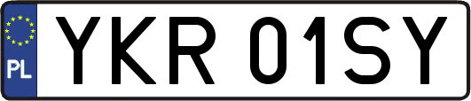 YKR01SY