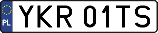 YKR01TS