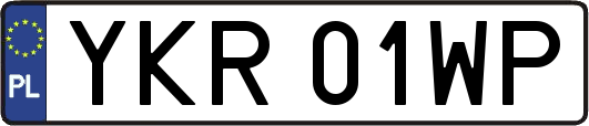 YKR01WP