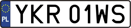 YKR01WS