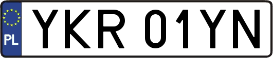 YKR01YN