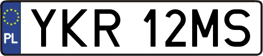 YKR12MS