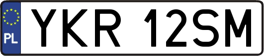 YKR12SM