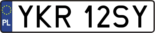 YKR12SY