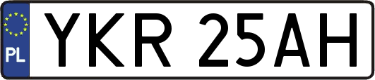 YKR25AH