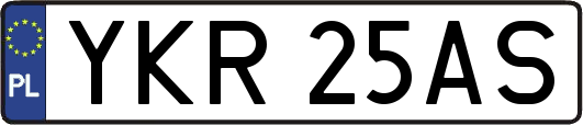 YKR25AS