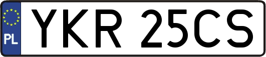 YKR25CS