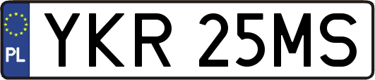 YKR25MS