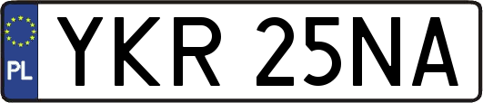 YKR25NA
