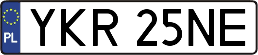 YKR25NE