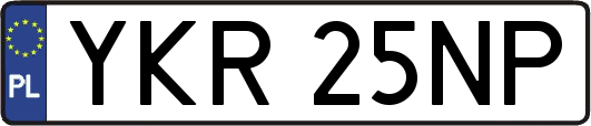 YKR25NP