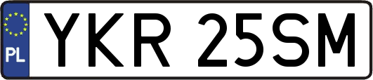YKR25SM
