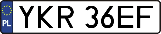 YKR36EF