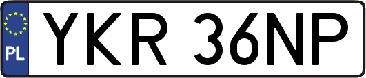 YKR36NP