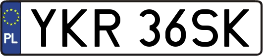 YKR36SK