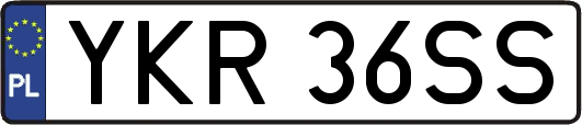 YKR36SS