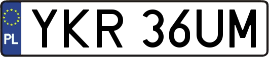 YKR36UM