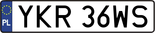 YKR36WS