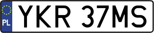 YKR37MS
