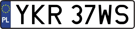 YKR37WS