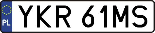 YKR61MS