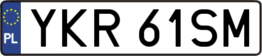 YKR61SM