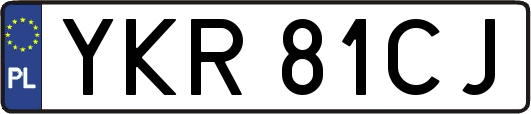 YKR81CJ