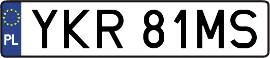 YKR81MS