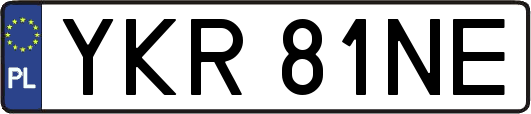 YKR81NE