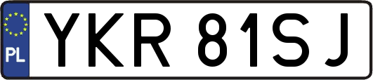 YKR81SJ