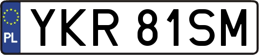 YKR81SM