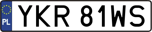 YKR81WS