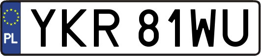 YKR81WU
