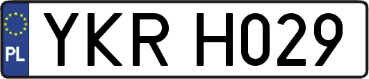 YKRH029