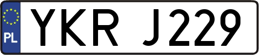 YKRJ229
