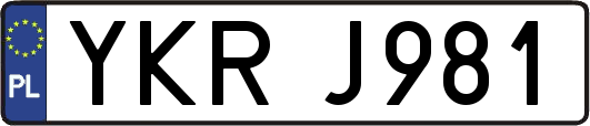 YKRJ981
