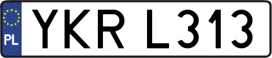 YKRL313