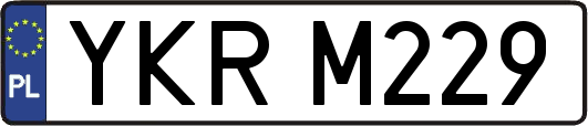 YKRM229