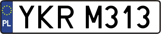 YKRM313