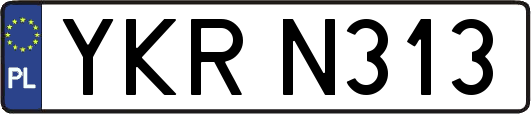 YKRN313